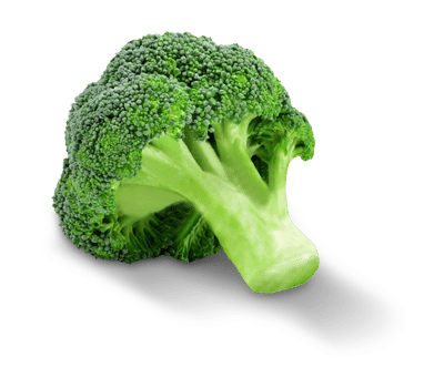 Broccoli