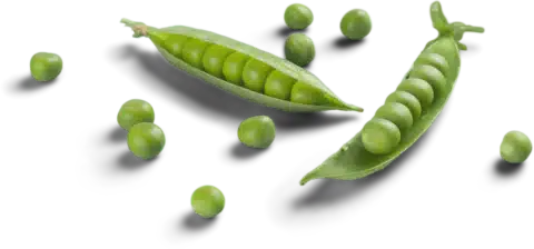 beans
