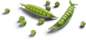 beans